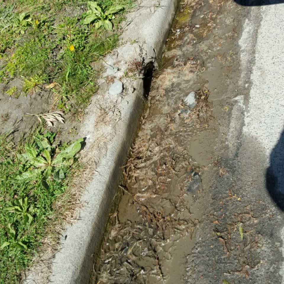 The photograph attached to this wastewater/stormwater report