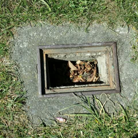Roading/Streets, a report photo