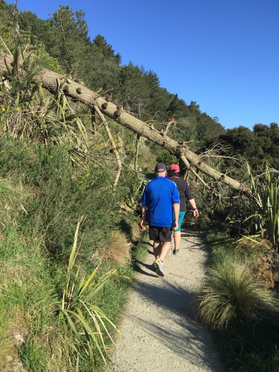 The photograph attached to this parks report