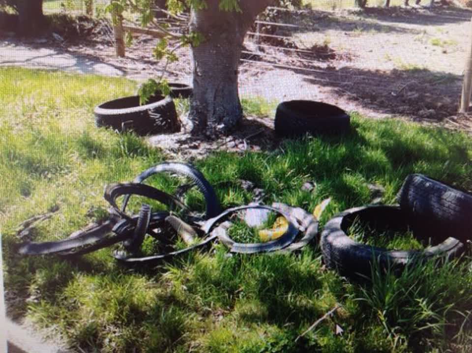 The photograph attached to this rubbish/recycling report
