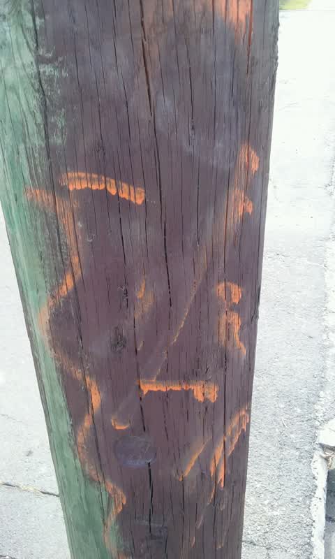 Graffiti, a report photo