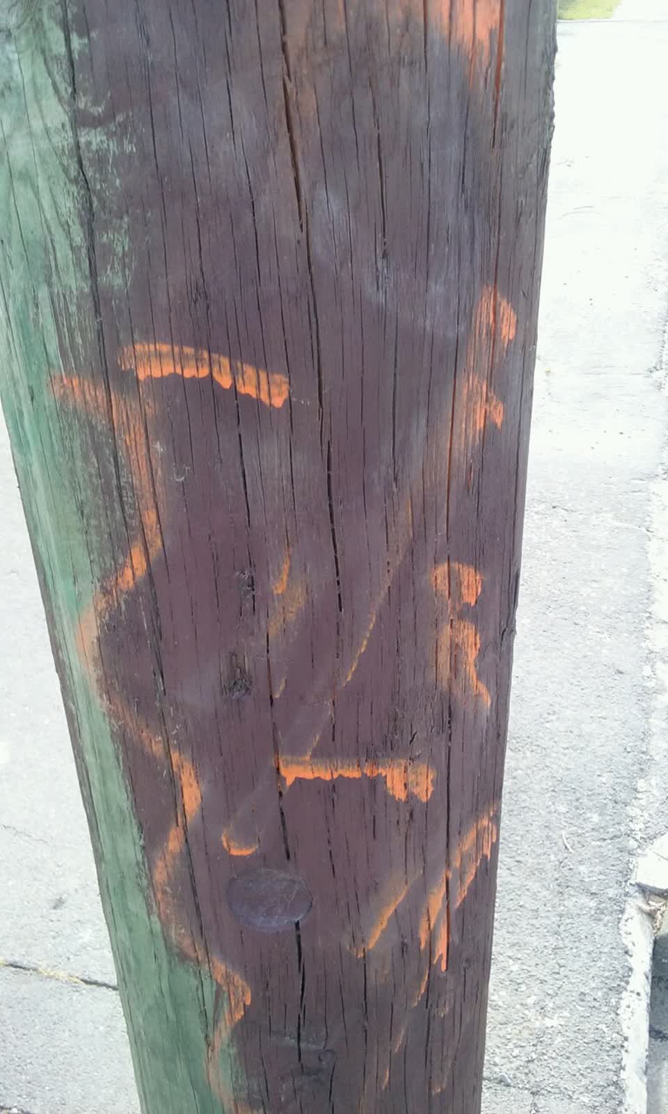 The photograph attached to this graffiti report