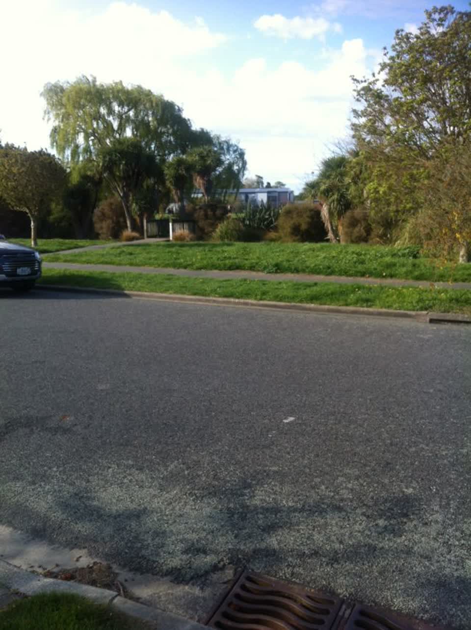 The photograph attached to this parks report