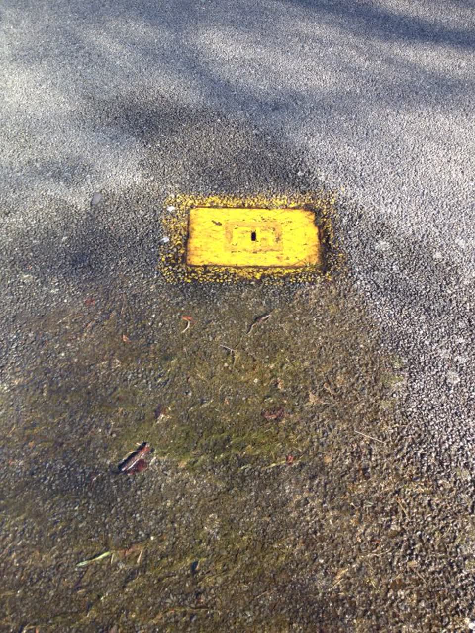 The photograph attached to this water supply report
