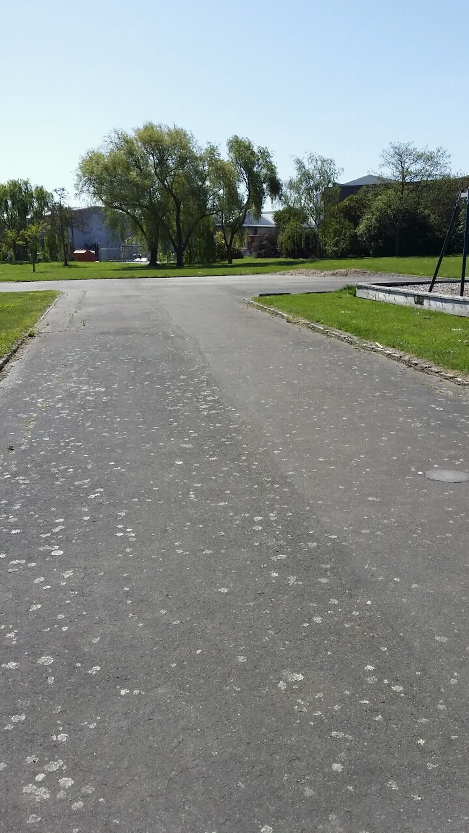 The photograph attached to this parks report