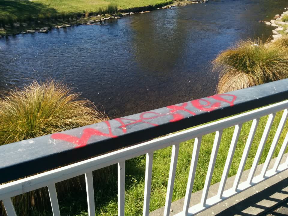 The photograph attached to this graffiti report