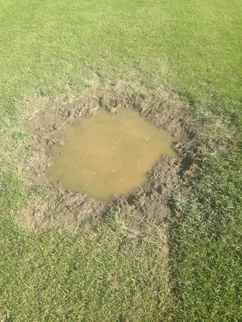 The photograph attached to this parks report