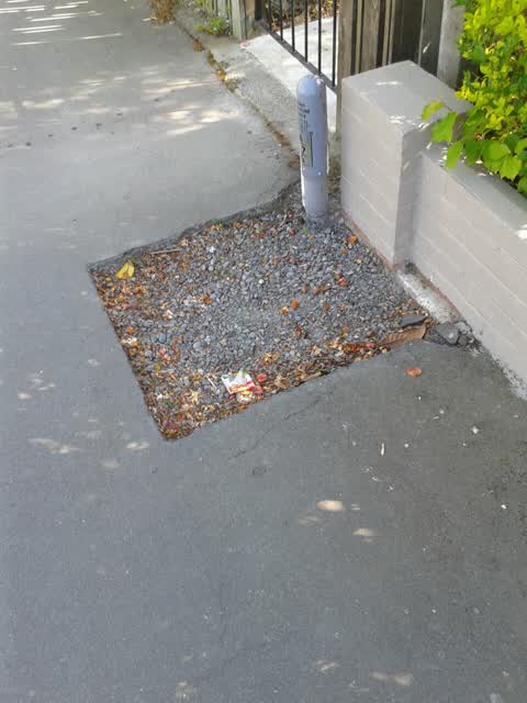 Roading/Streets, a report photo