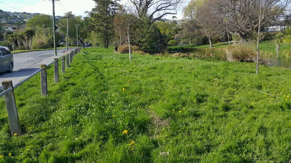 The photograph attached to this parks report