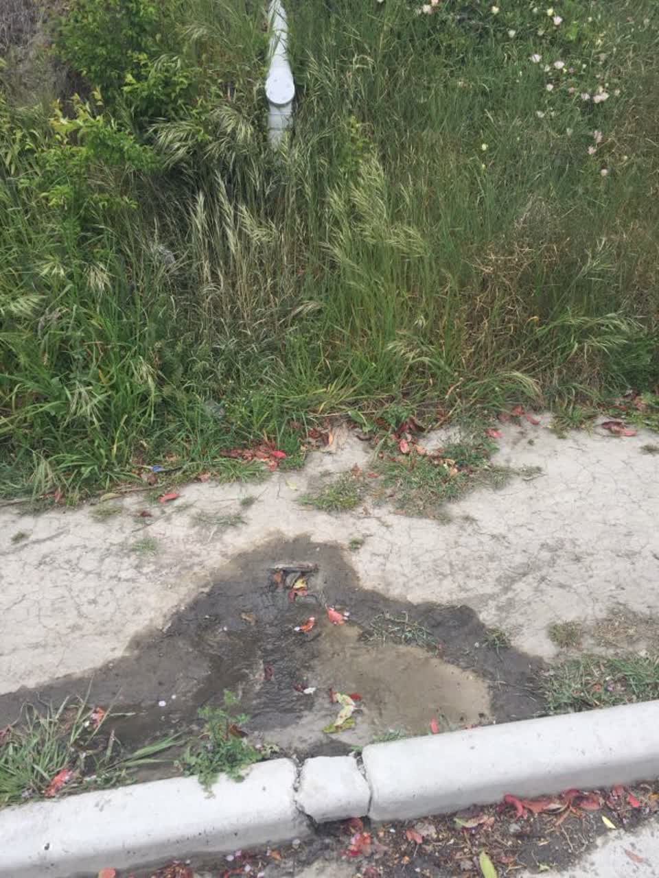 The photograph attached to this wastewater/stormwater report