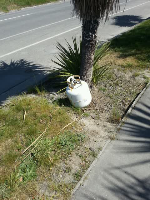 Rubbish/Recycling, a report photo