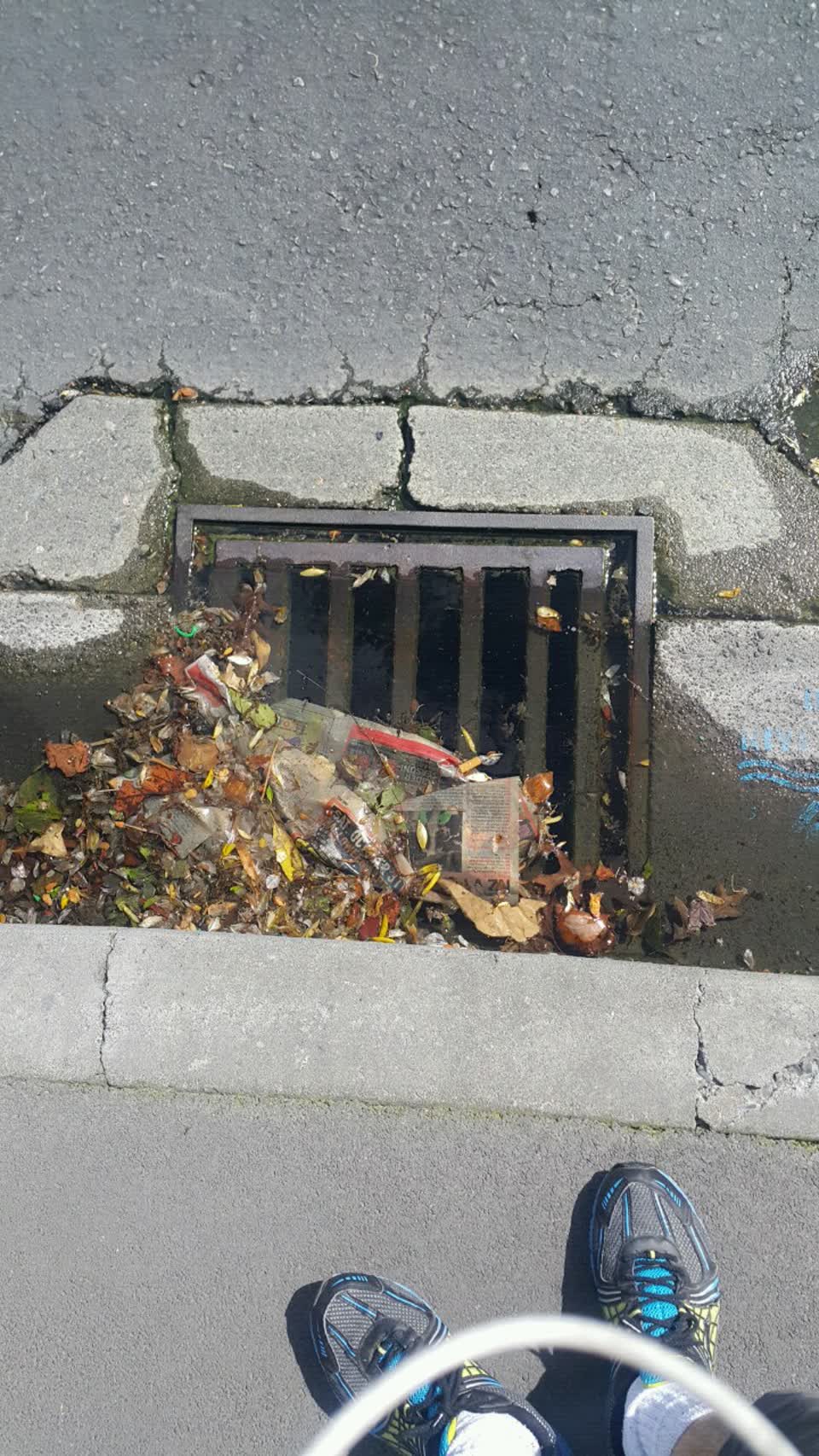The photograph attached to this wastewater/stormwater report