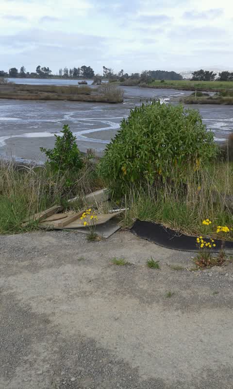 Rubbish/Recycling, a report photo