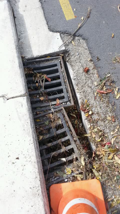 Roading/Streets, a report photo