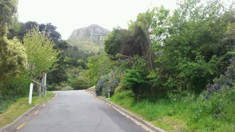 Parks, a report photo