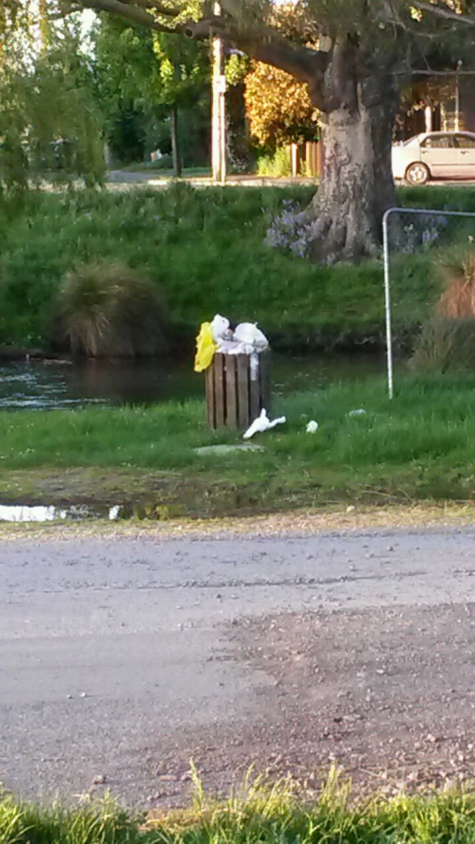 The photograph attached to this rubbish/recycling report