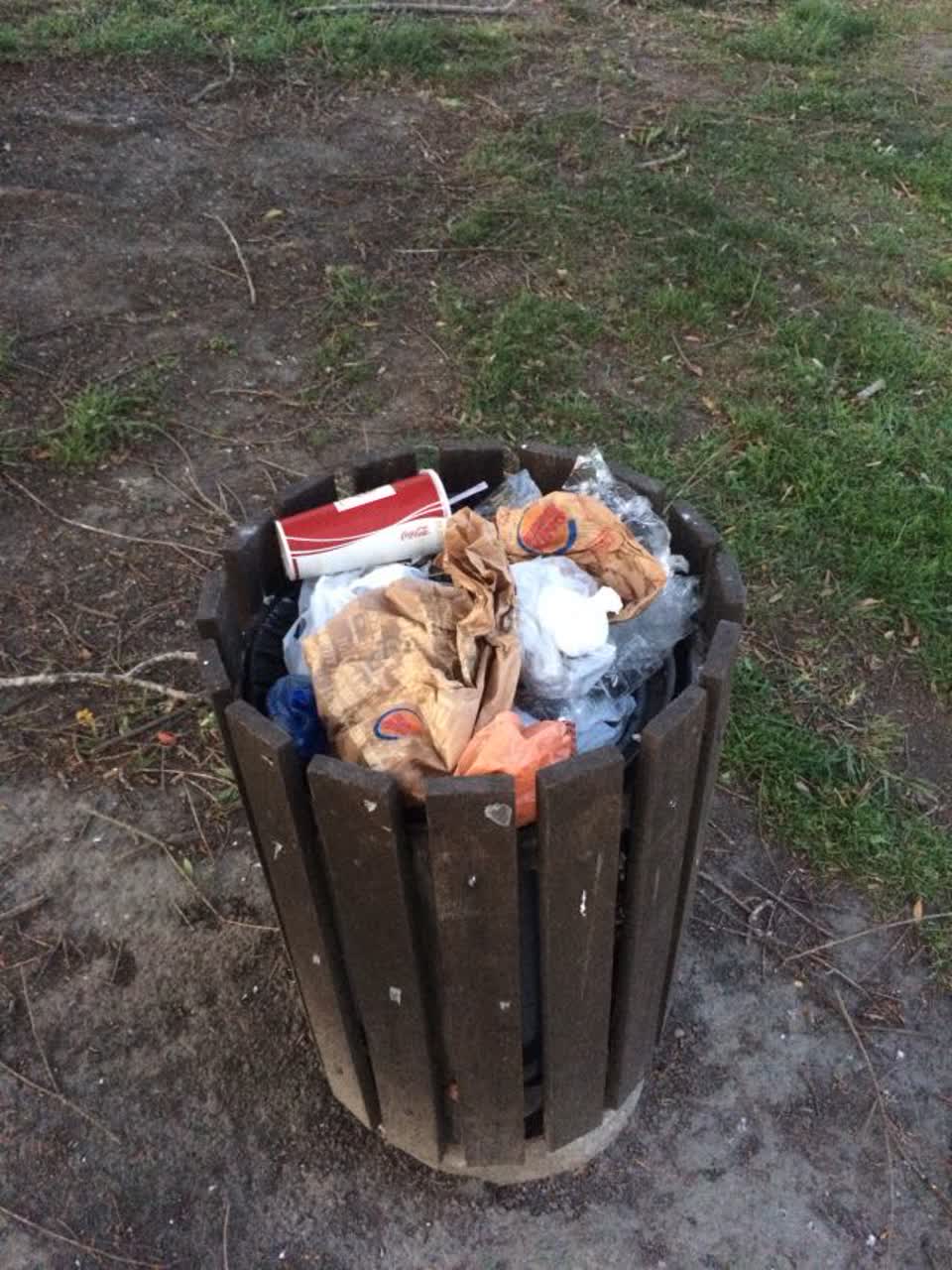 The photograph attached to this rubbish/recycling report