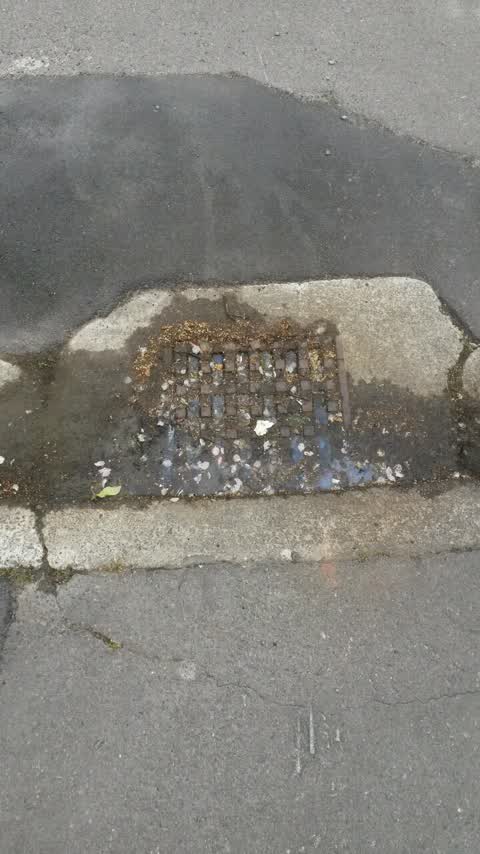 Wastewater/Stormwater, a report photo