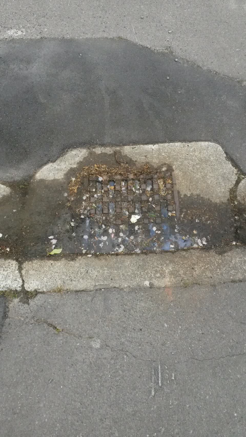 The photograph attached to this wastewater/stormwater report