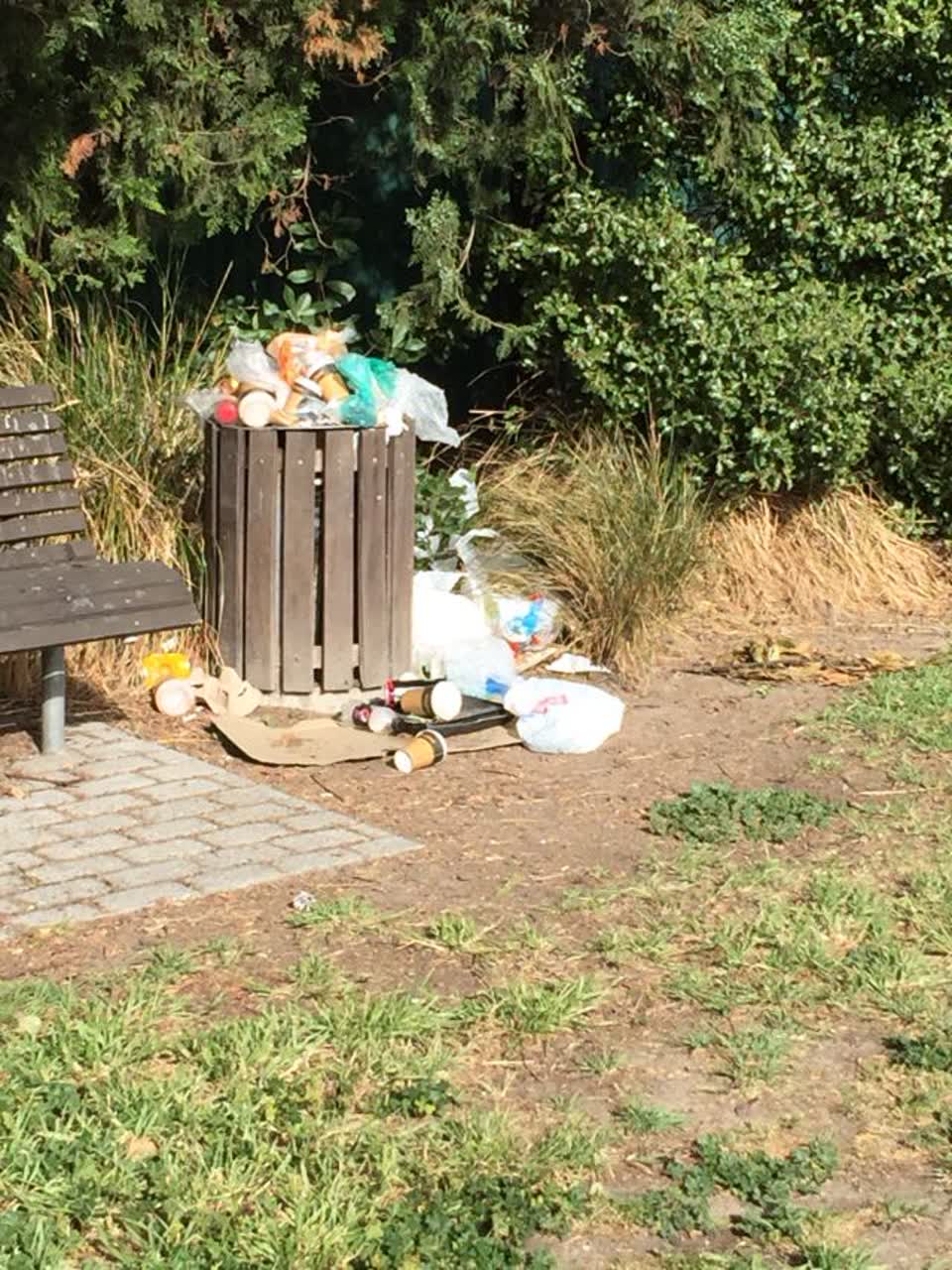 The photograph attached to this rubbish/recycling report