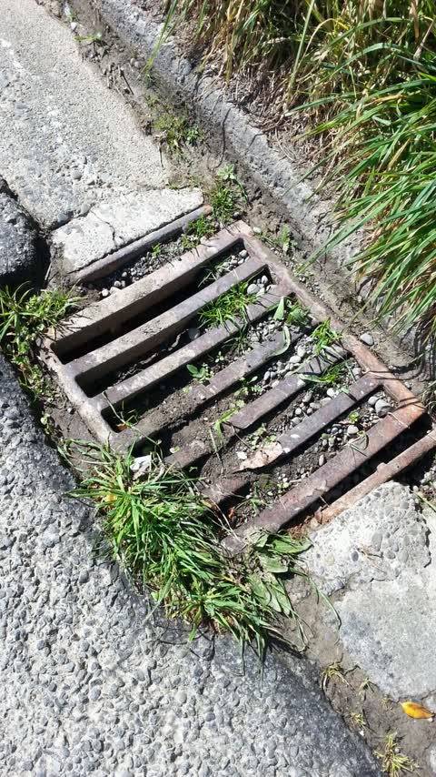 Roading/Streets, a report photo