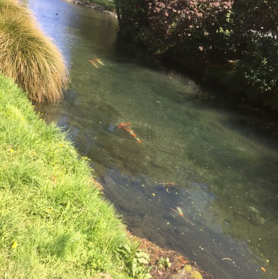 The photograph attached to this water supply report