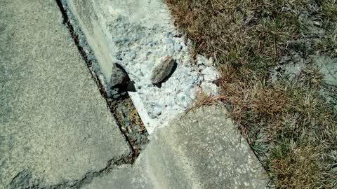 Roading/Streets, a report photo