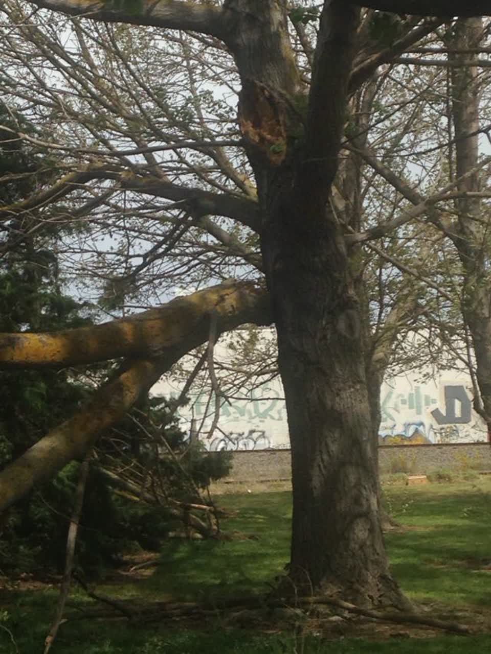 The photograph attached to this parks report
