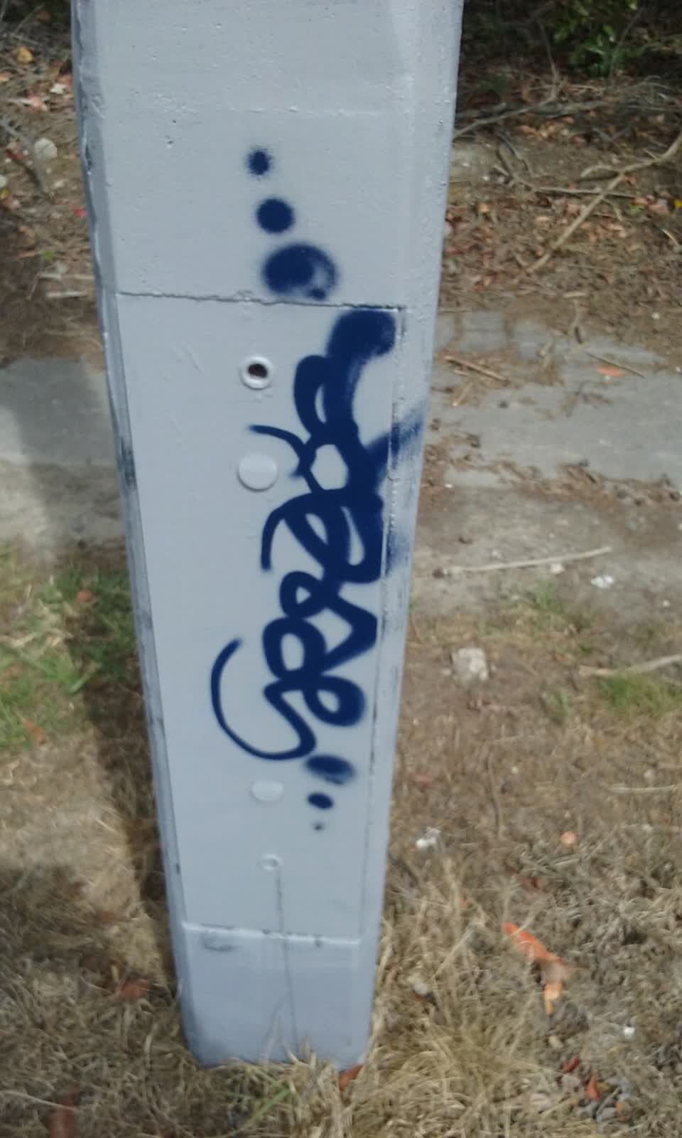 The photograph attached to this graffiti report