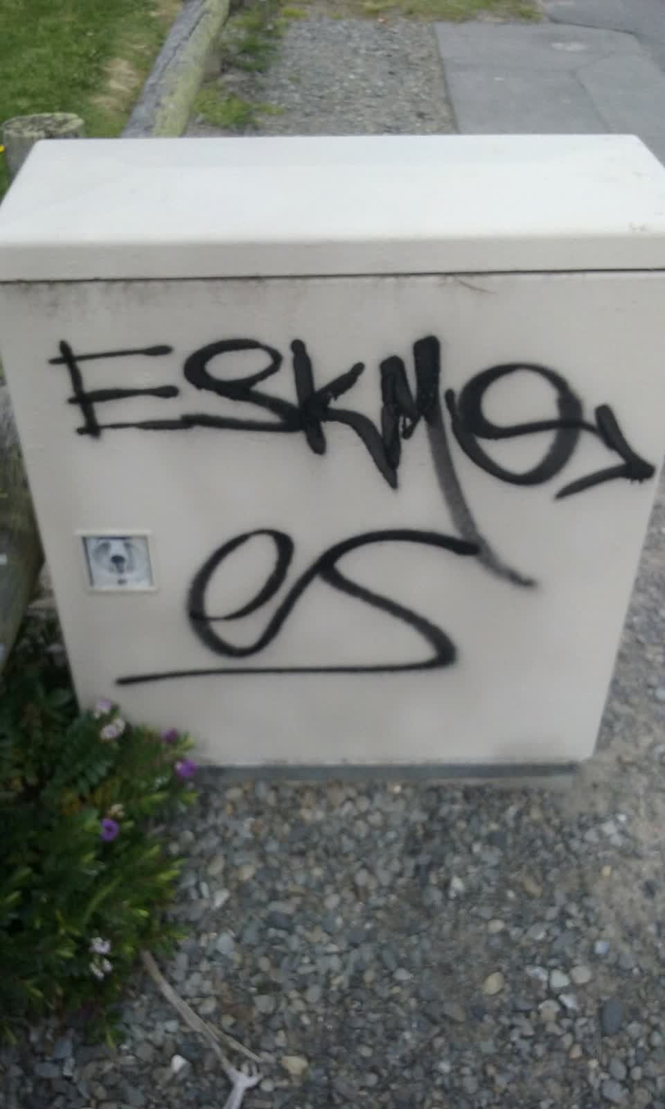 The photograph attached to this graffiti report