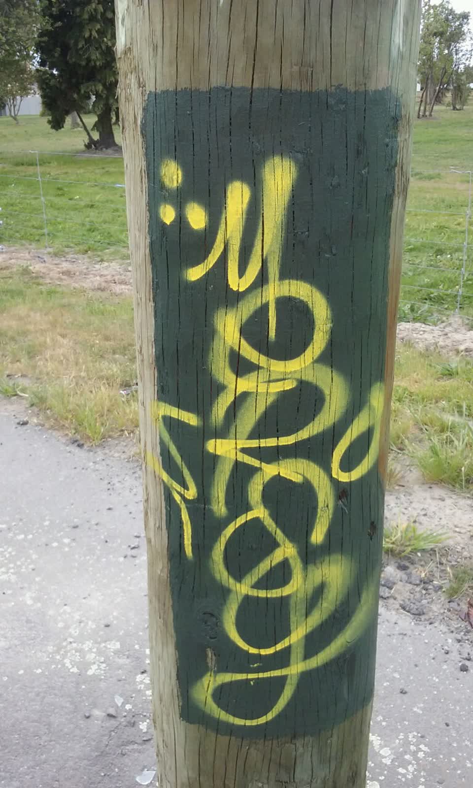 The photograph attached to this graffiti report