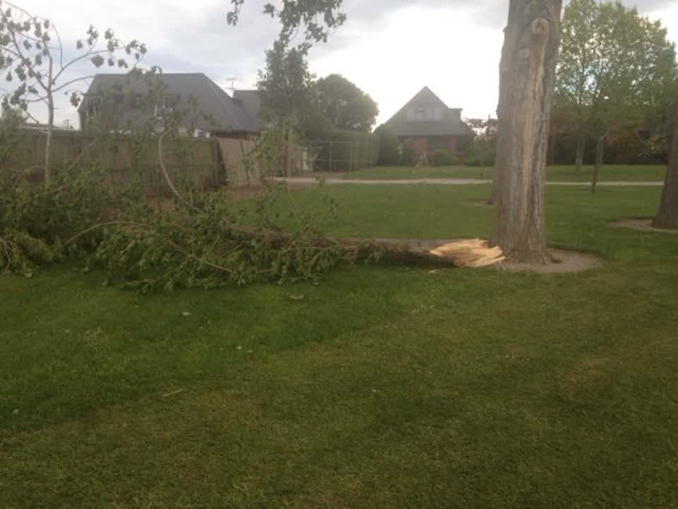 The photograph attached to this parks report