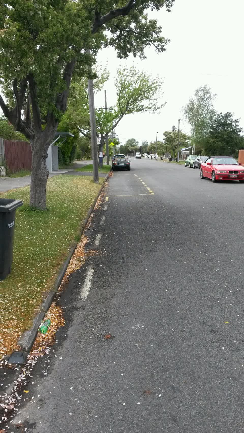 The photograph attached to this roading/streets report