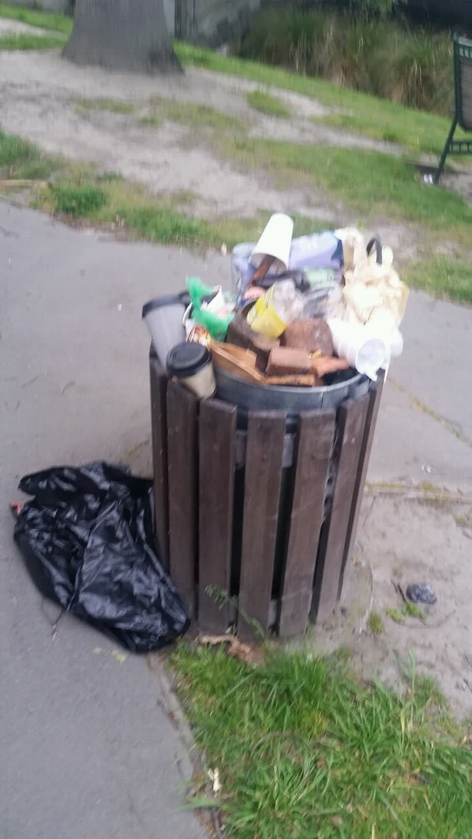 The photograph attached to this rubbish/recycling report