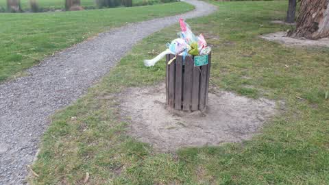 Rubbish/Recycling, a report photo