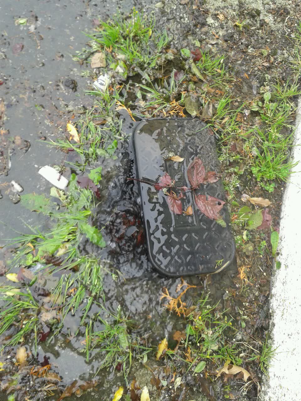 The photograph attached to this water supply report