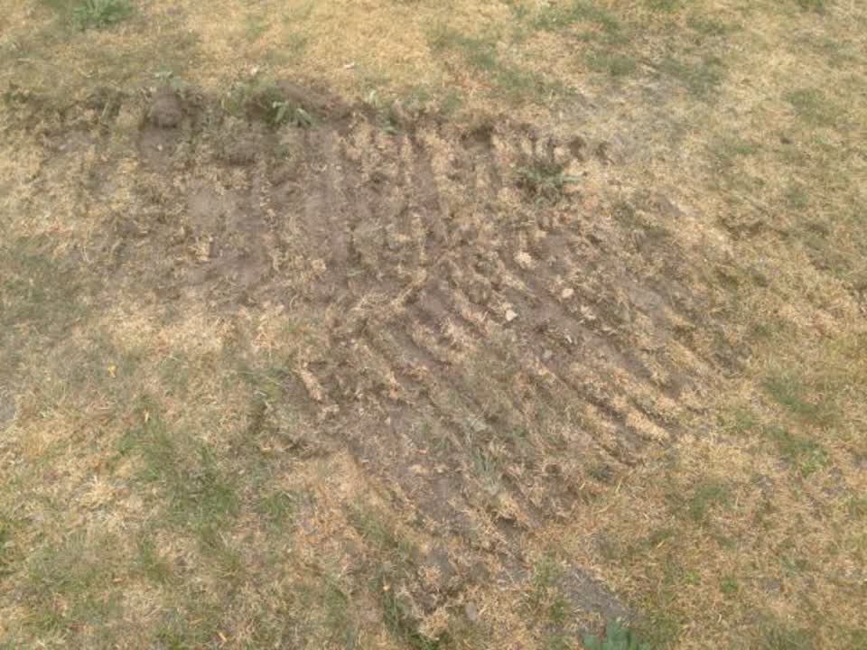 The photograph attached to this parks report