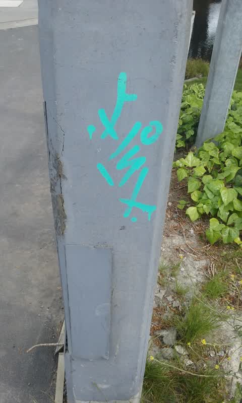 Graffiti, a report photo