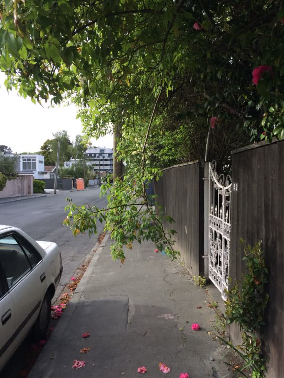 The photograph attached to this roading/streets report