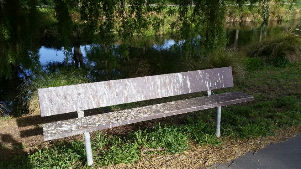 The photograph attached to this parks report