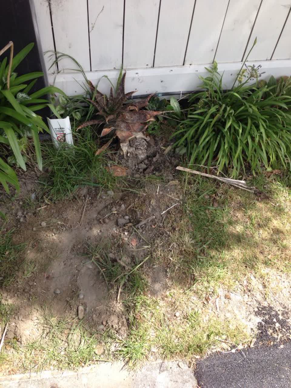 The photograph attached to this water supply report