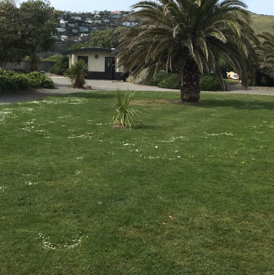 The photograph attached to this parks report