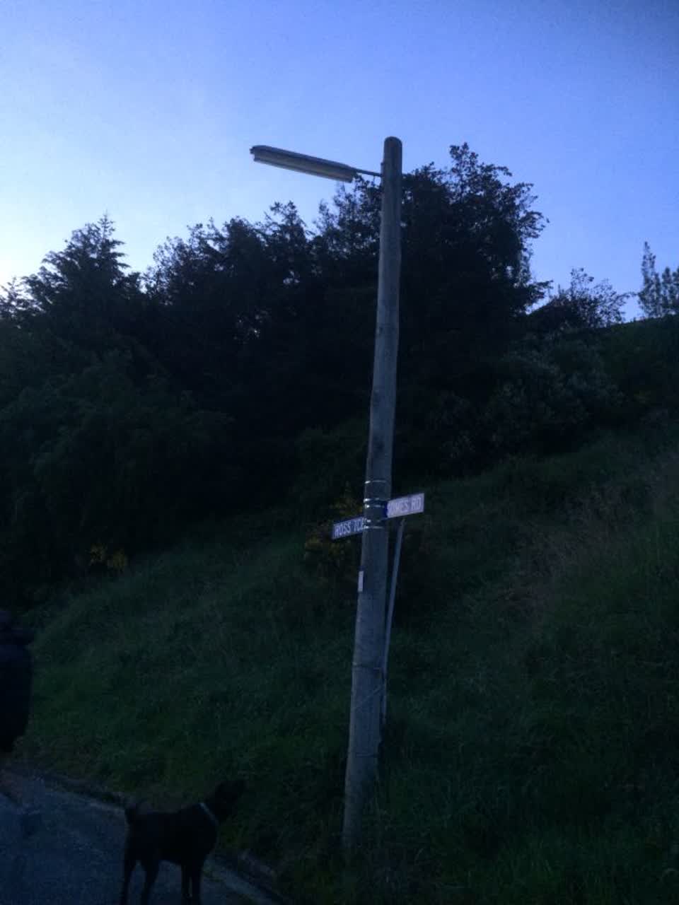 The photograph attached to this roading/streets report
