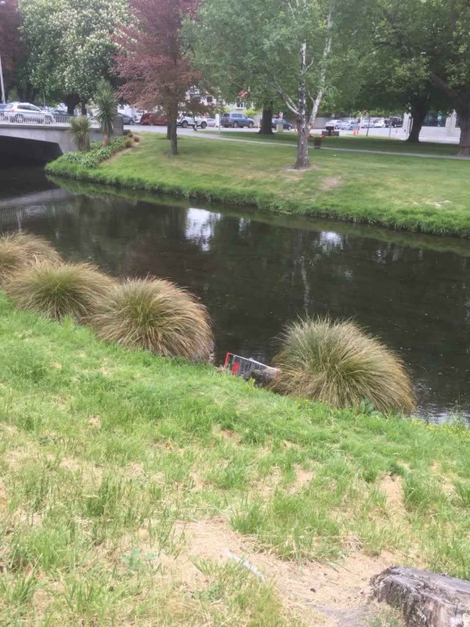 The photograph attached to this parks report