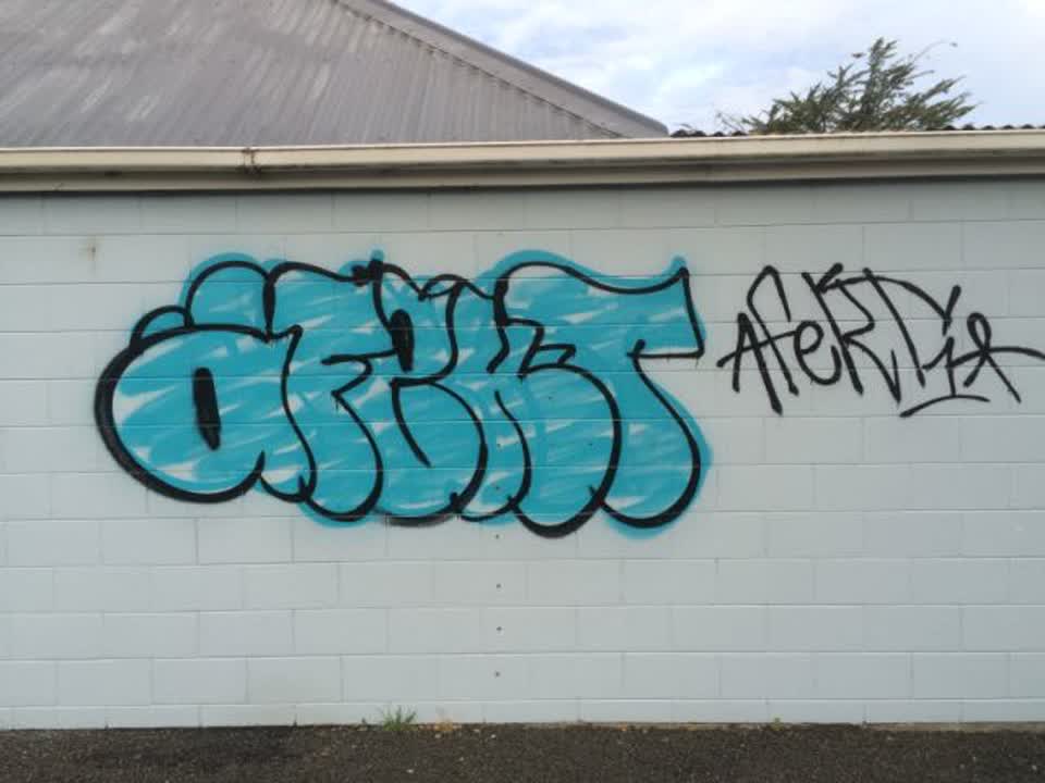 The photograph attached to this graffiti report