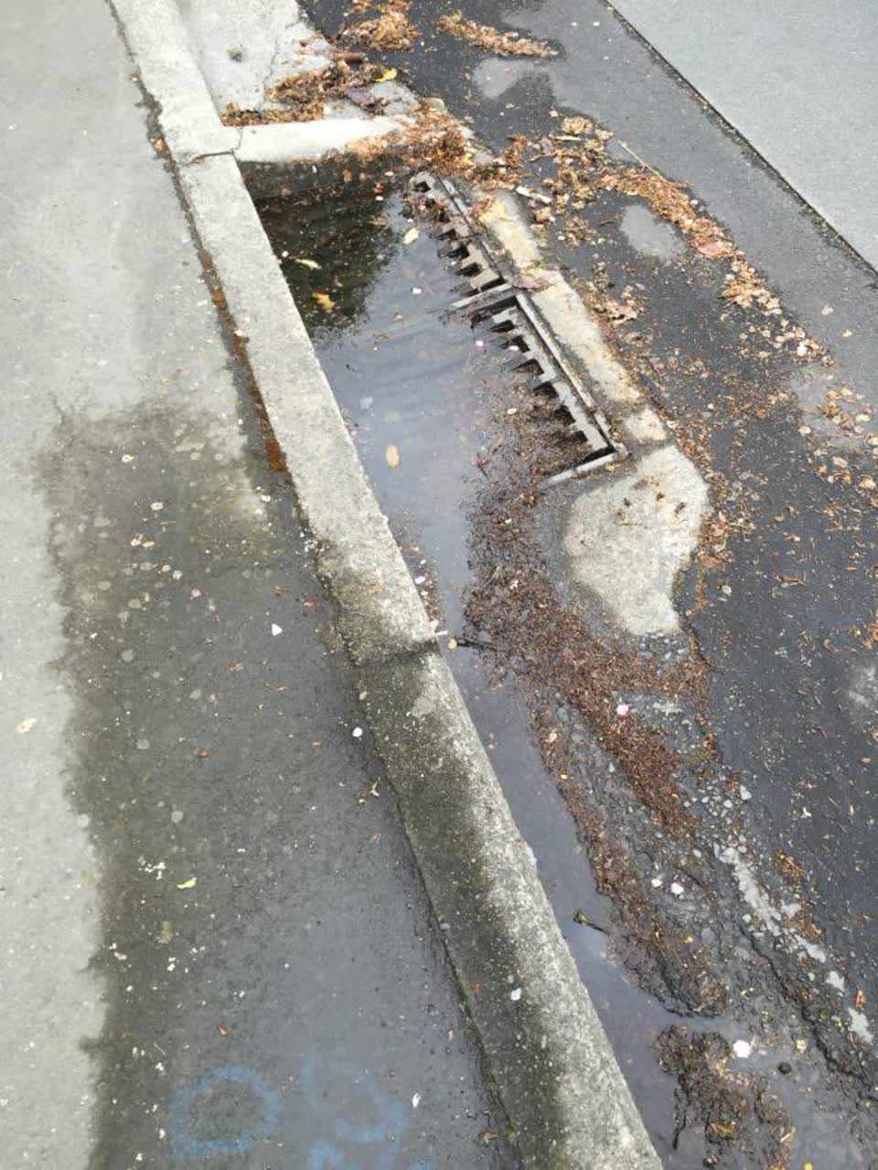 The photograph attached to this wastewater/stormwater report