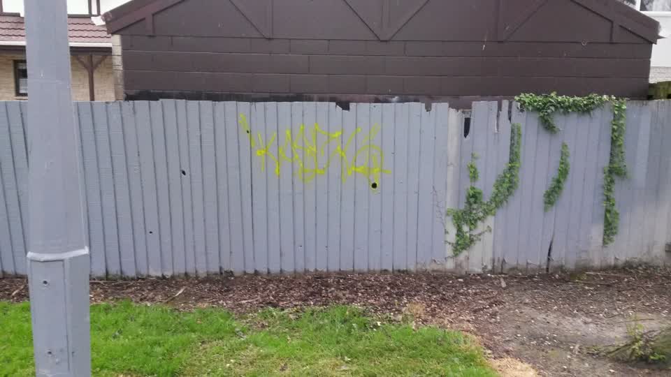 The photograph attached to this graffiti report