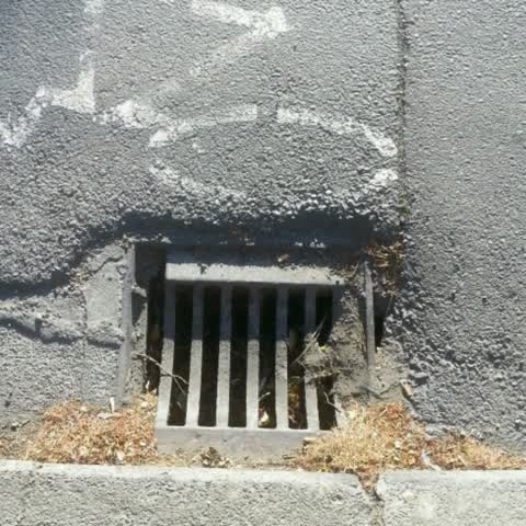 Wastewater/Stormwater, a report photo