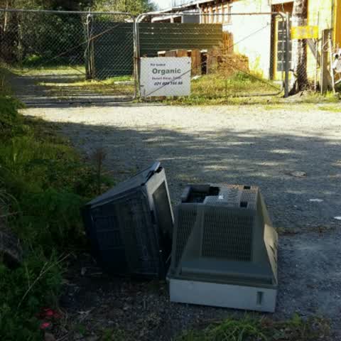 Rubbish/Recycling, a report photo