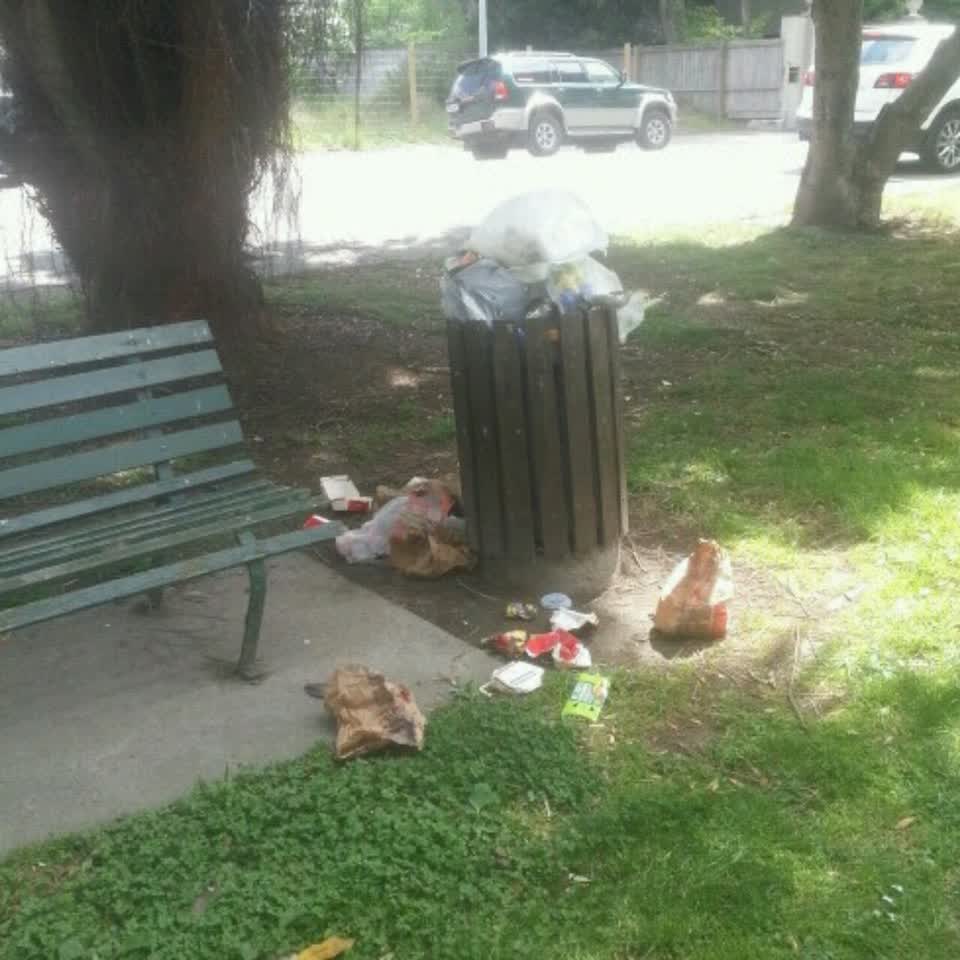 The photograph attached to this rubbish/recycling report